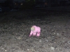TN_PA040107.JPG