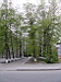 TN_P5240076.JPG
